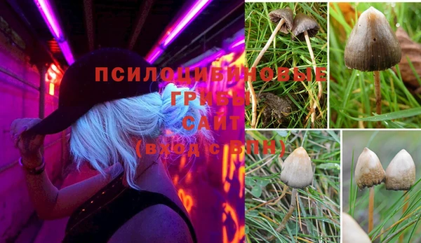 марки lsd Алзамай